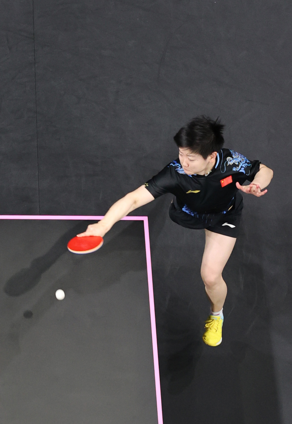 并为灰熊的 并为灰熊的